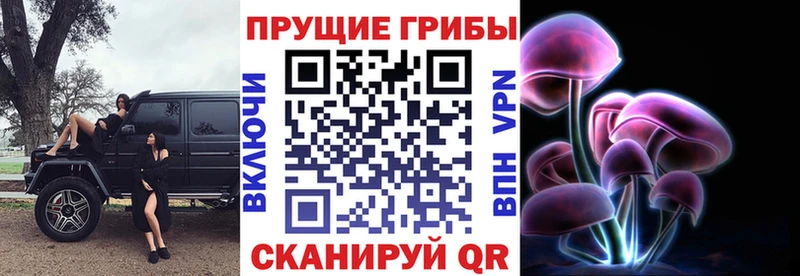 Псилоцибиновые грибы Psilocybine cubensis  Лабытнанги 