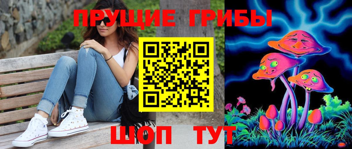 Галлюциногенные грибы Psilocybine cubensis Лабытнанги